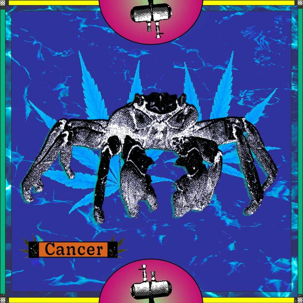 Dab rigs and a large crab on a blue background with the word "Cancer"